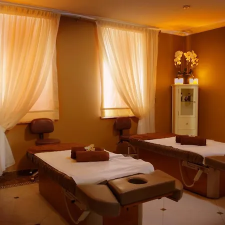 Palac & Wellness *
