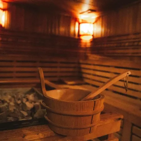 Palac & Wellness * Желехув